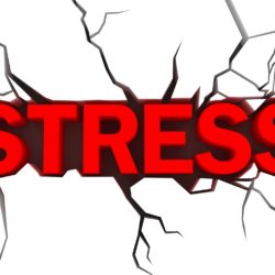 How to bust stress in just a few minutes per day