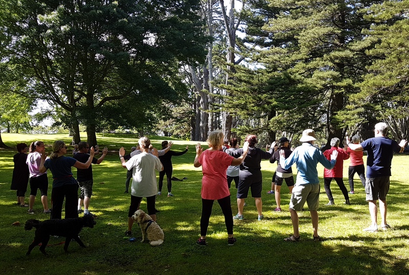 Free summer tai chi in Cornwall Park, 2020