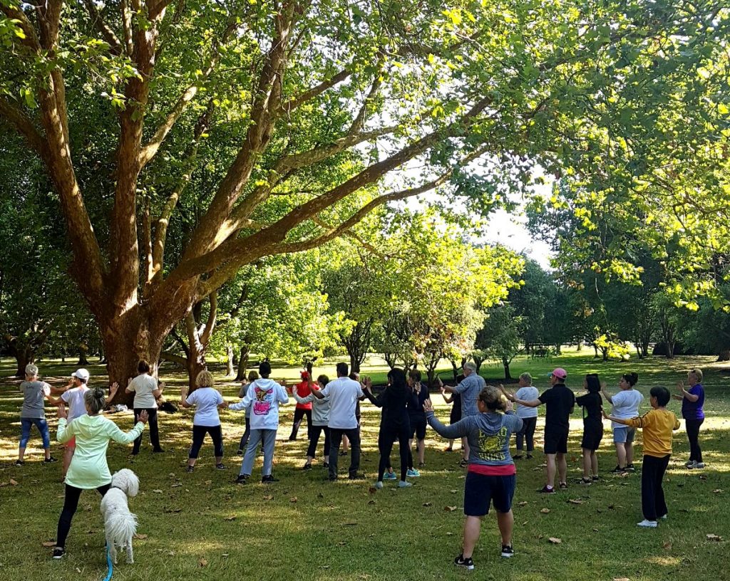 Group of people doing tai chi under beautiful green trees