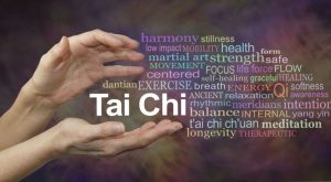 Hands holding words including harmony, martial art, centred, exercise, health