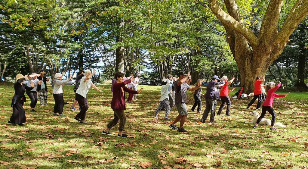 Group of people doing tai chi under a tree in a park