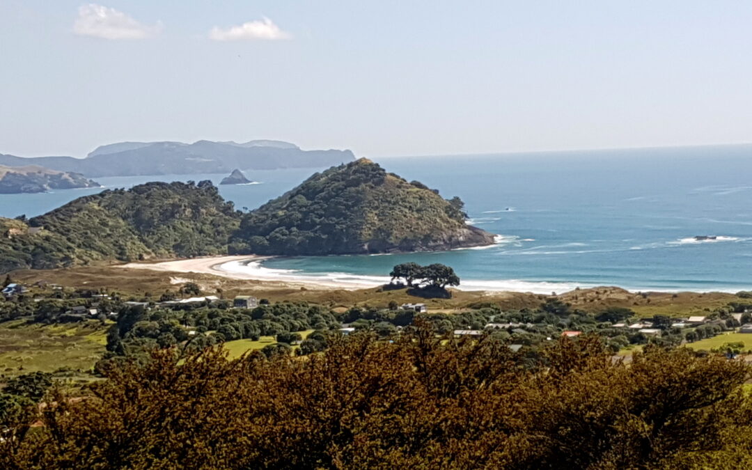 Qigong retreat on Great Barrier Island, November 2022