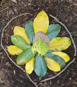Overlapping green and yellow leaves in a circular design