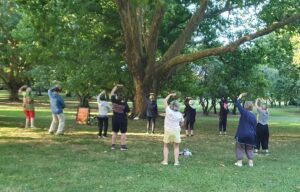Group of people doing tai chi on the grass under a big tree