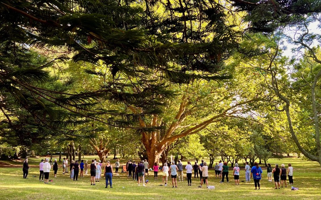 Free summer tai chi from January to end March 2026