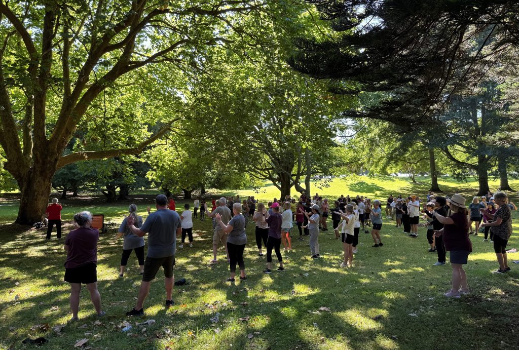 Large group of people doing tai chi on the the grass under a big, shady tree.