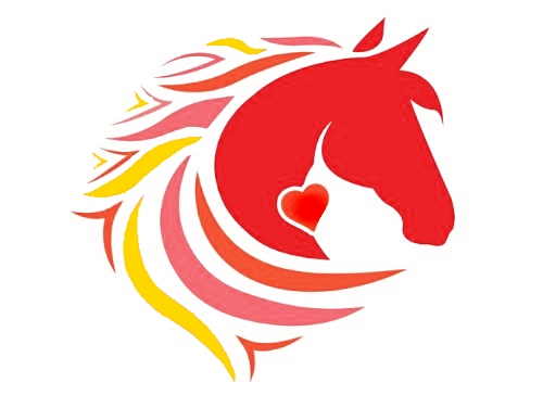 1-Day Qigong Retreat: Saturday 16 May 2026